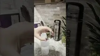 II-й этап Go Detox Light