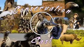 CONSERVATION CAST Ep. 8: American Eagle Foundation
