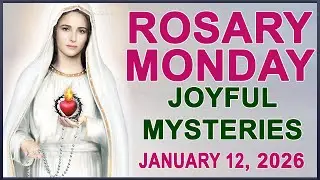 The Rosary Today I Monday I January 12 2026 I The Holy Rosary I Joyful Mysteries