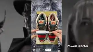 Dunk Low 