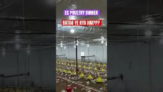 EC Poultry Owner Batao Ye Kya Hai?? New Equipment in EC Poultry Farm #poultryfarm #equipment