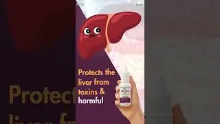 Keva Milk Thistle Drops | Natural Liver Detox & Complete Wellness Support Explained