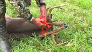 All- in Outdoors LLC The Leg Cuff Deer Drag