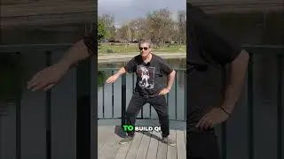 Chen Tai Chi's Most Powerful Beginner Technique #technique #shorts
