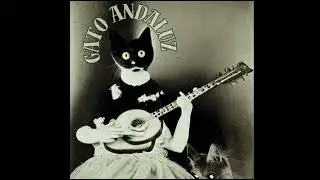 Gato Andaluz - Sonata para un gato