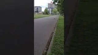 serpent 960 e 2000kv motor 150mah esc