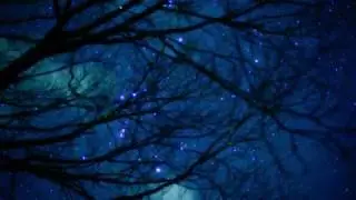 オリオン座のイルミネーションータイムラプス4K動画ーNikonD810A