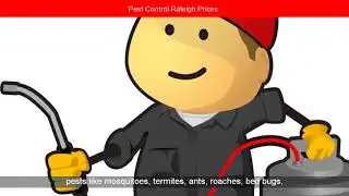 Pest Control Raleigh NC