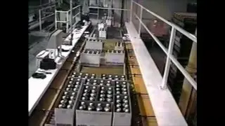 PAI Series 6000 In Line High Level Palletizer