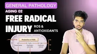 FREE RADICAL INJURY | OXIDATIVE STRESS | ROS | ANTIOXIDANTS - Aging 02 - General Pathology