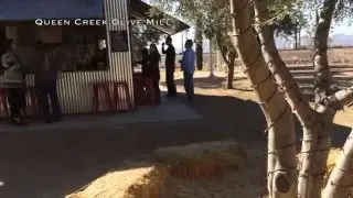 Olive Mill