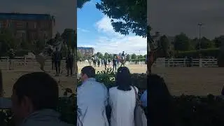 Synchronised warm up #jump #warmup #dublin #horse #fun #sun &lrm;⁨@DublinHorseShow⁩&nbsp;