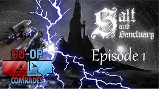 Salt and Sanctuary Co-op Comrades