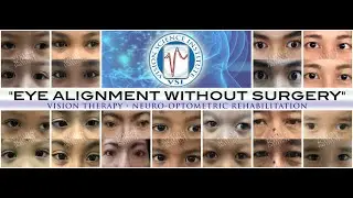 Vision Science Institute AVP