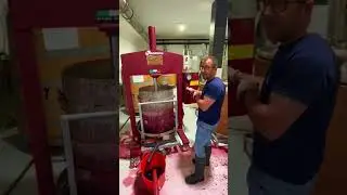 Let the grape 🧃 flow! @pagodelosabuelo #grapejuice #pressing #winemaking #winery #redwine