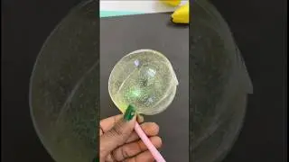 Easy balloon craft video #diy #ytstudioes #artandcraft #youtubeshorts #shortsfeed #craftideas #diy