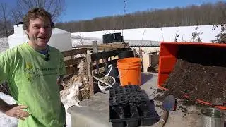 How to Start Seeds Indoors (Part 1 - Tray Prep)
