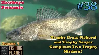 Fishing Planet #38 - S4 | Trophy Grass Pickerel and Trophy Sauger Completes Two Trophy Missions!
