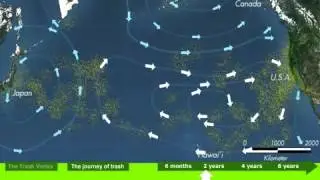 North Pacific Gyre Timelapse