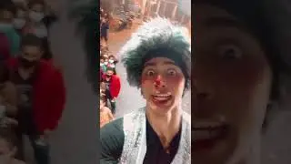 circo de patolin