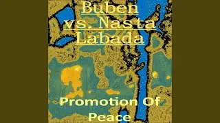 Promotion Of Peace