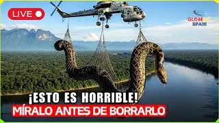 &iexcl;No Ver&aacute;s Esto Todos los D&iacute;as! &iexcl;Las Capturas M&aacute;s Gigantes de Todos los Tiempos en C&aacute;mara! Documental