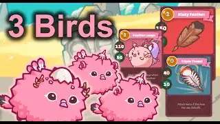 3 bird gameplay