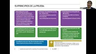 Actividad probatoria y competencia en los procesos laborales