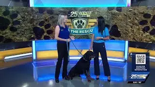 WPBF to the Rescue - Rambo