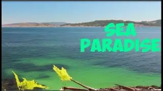Sea Paradise - Farrukh Rafi