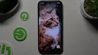 How to Find Downloaded Files on Google Pixel 9