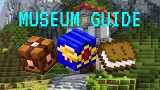EVERYTHING You Need To Know About Museum And Shen's Auction | Hypixel & Fakepixel Skyblock