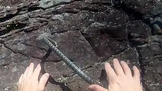Via Ferrata Climbing with Southeast Mountain Guides