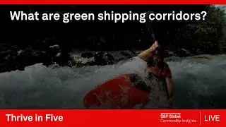 What are green shipping corridors?
