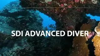 Advanced Diver Certification Program - Scuba Diving International - SDI