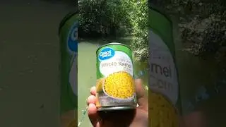 Ловить рыбу на кукурузу так просто!