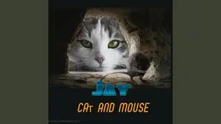 Cat and Mouse