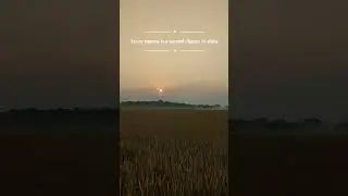 Second chance #song #yputubeshorts#quotes #village #lifeadvice #viral #motivation