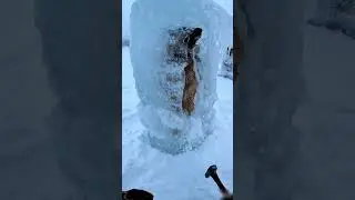Frozen in Silence: Hyper-Realistic Dog Rescue Trapped in Ice