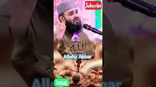 Allah Allahu Akbar. #shortsvideo #youtubeshorts #allah #allahuakbar #subscribe #toufa @toufamoni