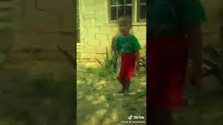 Pedio boca cilik