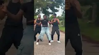 Check am!  Meterverse Choreography @OlamideBaddosneh  #olamide #olamidebaddo #meterverse #cheneric