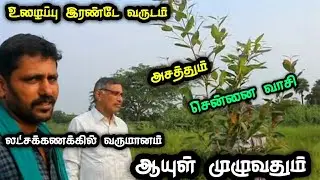 இரண்டே வருட உழைப்பில் லட்சக்கணக்கில் வருமானம் ஈட்டலாம் ஆயுள் முழுவதும்|FoodForest | Future Planning