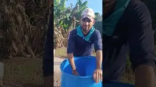 como hacer un germinador para cafe #campesinos #elcampoesvida #viral #cafe #agrocampo