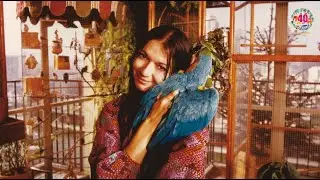 40 ans d'histoires - Ep 1 : la gen&egrave;se de Beauval !