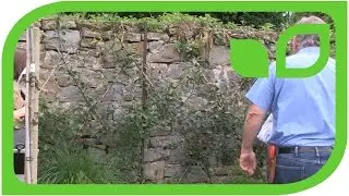 F&uuml;hrung mit Markus Kobelt: Die Redlove-Apfelhecke auf Schloss Ippenburg