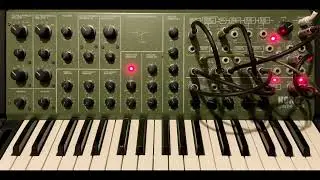 Korg MS-20 | Nov 24 '25 Self-Playing Patch