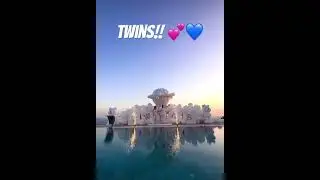 TWINS!! BEAUTIFUL GENDER REVEAL!!! 💕💙 CREDIT: @irislights.al