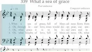 Hymnal 339 What a sea of grace
