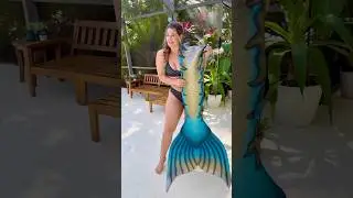 Trying on my new silicone mermaid tail 🧜&zwj;♀️✨ #mermaidlife #thelittlemermaid #verobeachmermaid